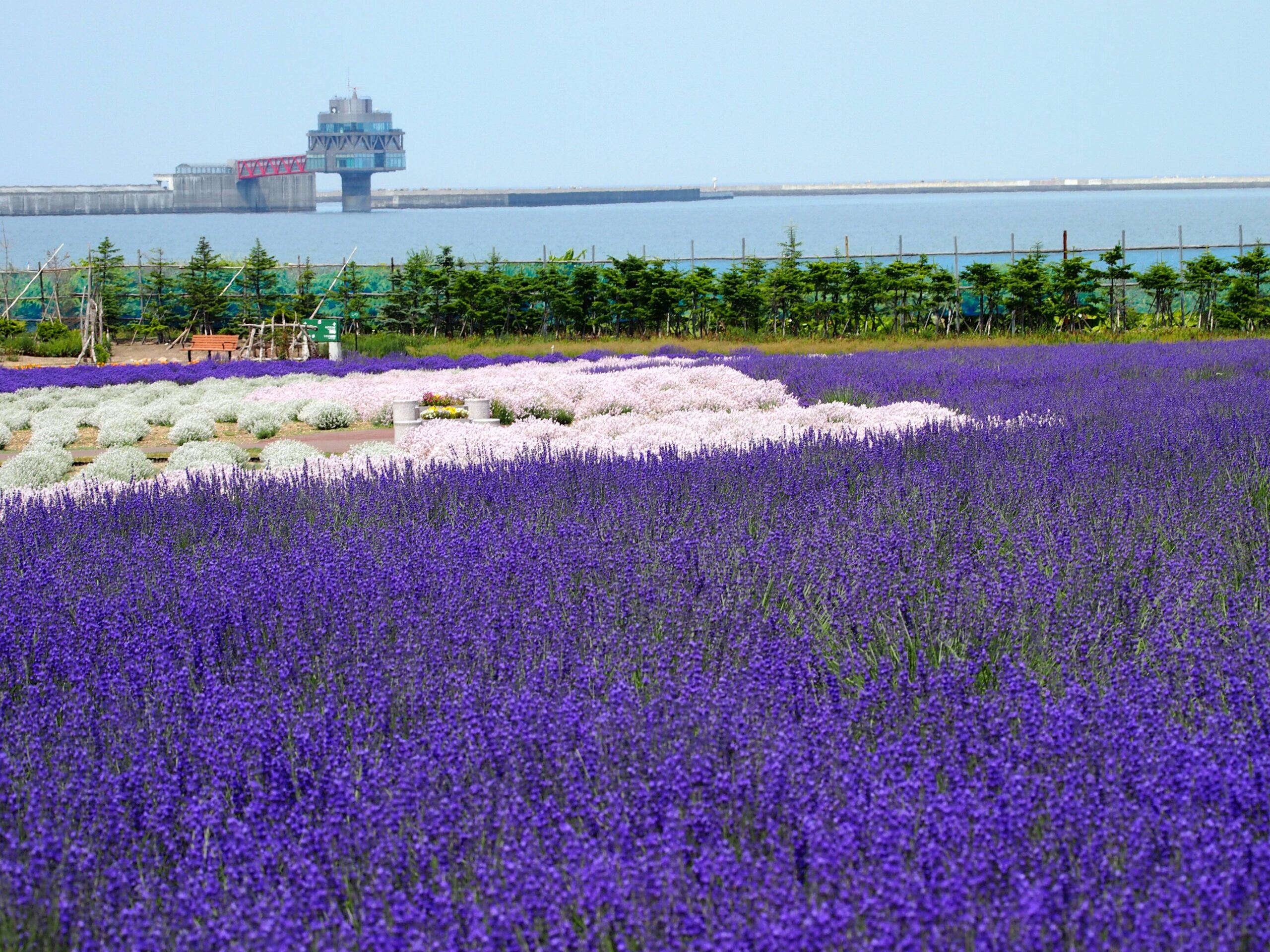 Hokkaido Okhotsk Drift Ice Park Lavender Field